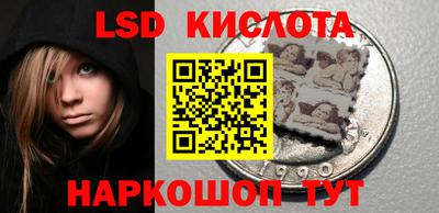 мяу мяу мука Будённовск