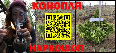 мяу мяу мука Будённовск