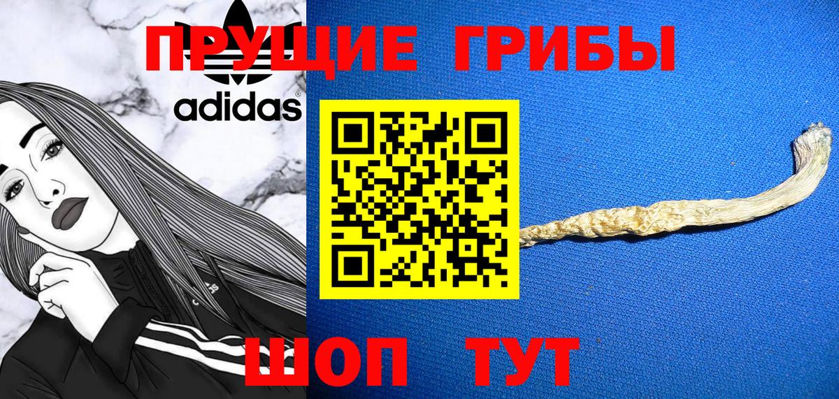 Галлюциногенные грибы прущие грибы Нарткала